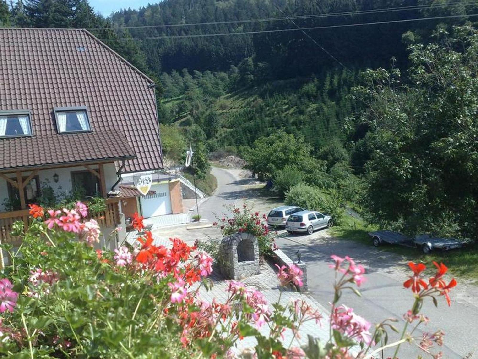 Ferienwohnung Schneckenhus Lautenbach Dış mekan fotoğraf