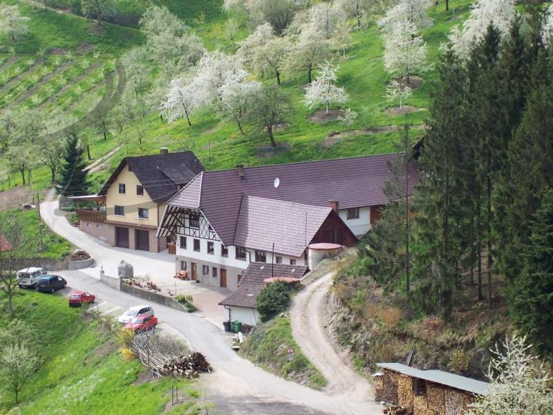 Ferienwohnung Schneckenhus Lautenbach Dış mekan fotoğraf