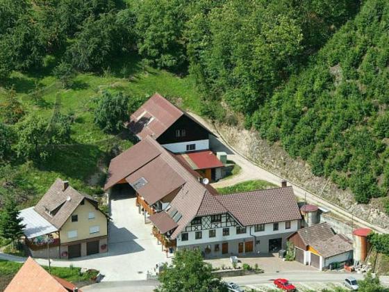 Ferienwohnung Schneckenhus Lautenbach Dış mekan fotoğraf