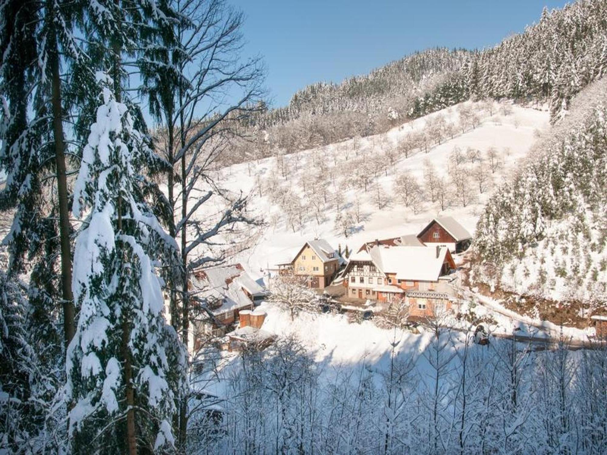 Ferienwohnung Schneckenhus Lautenbach Dış mekan fotoğraf