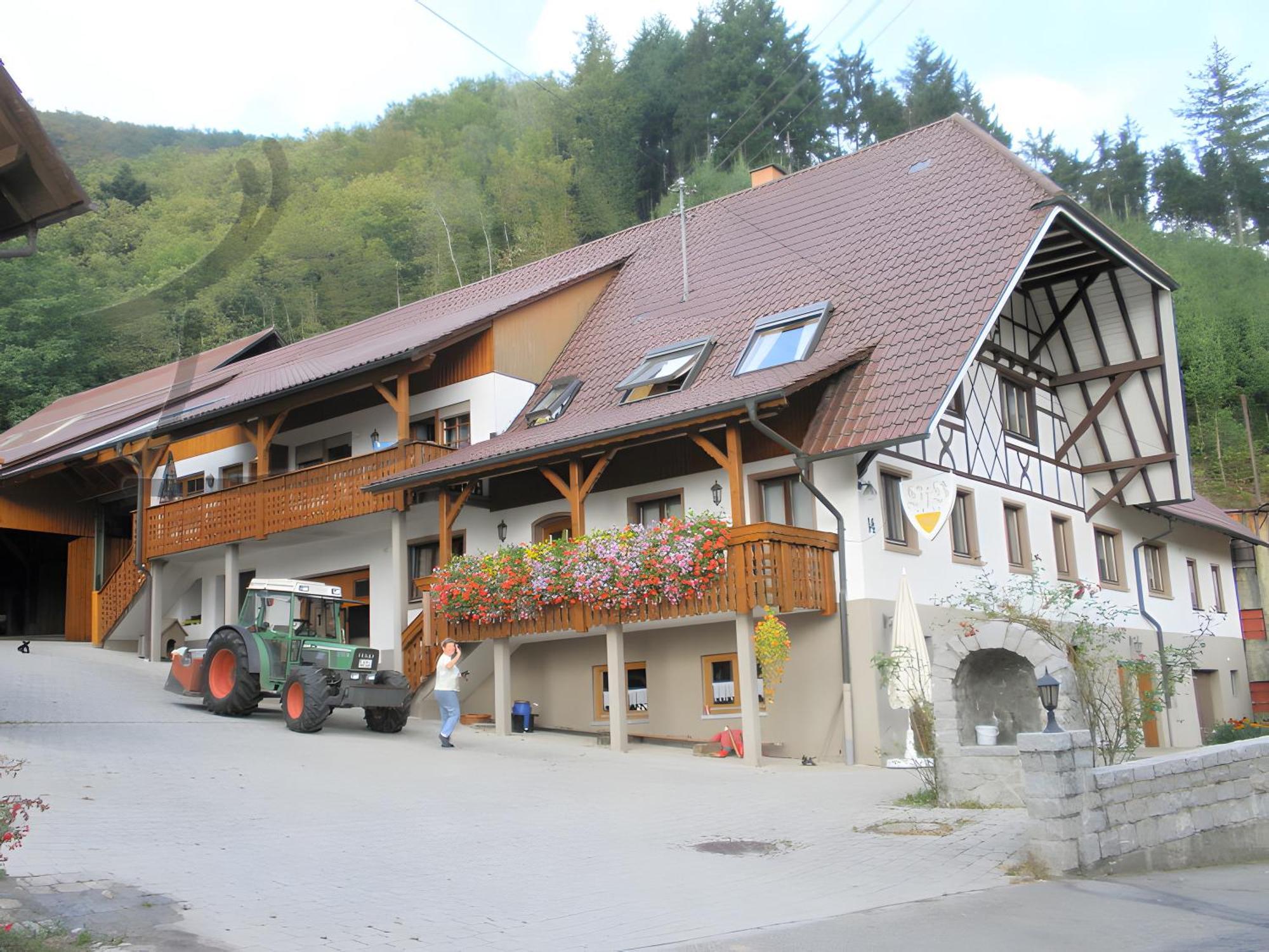 Ferienwohnung Schneckenhus Lautenbach Dış mekan fotoğraf