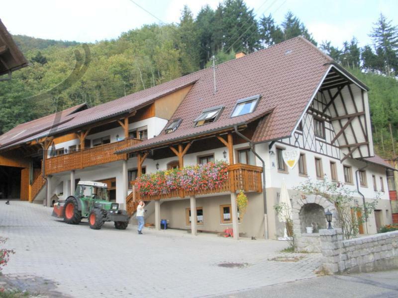 Ferienwohnung Schneckenhus Lautenbach Dış mekan fotoğraf